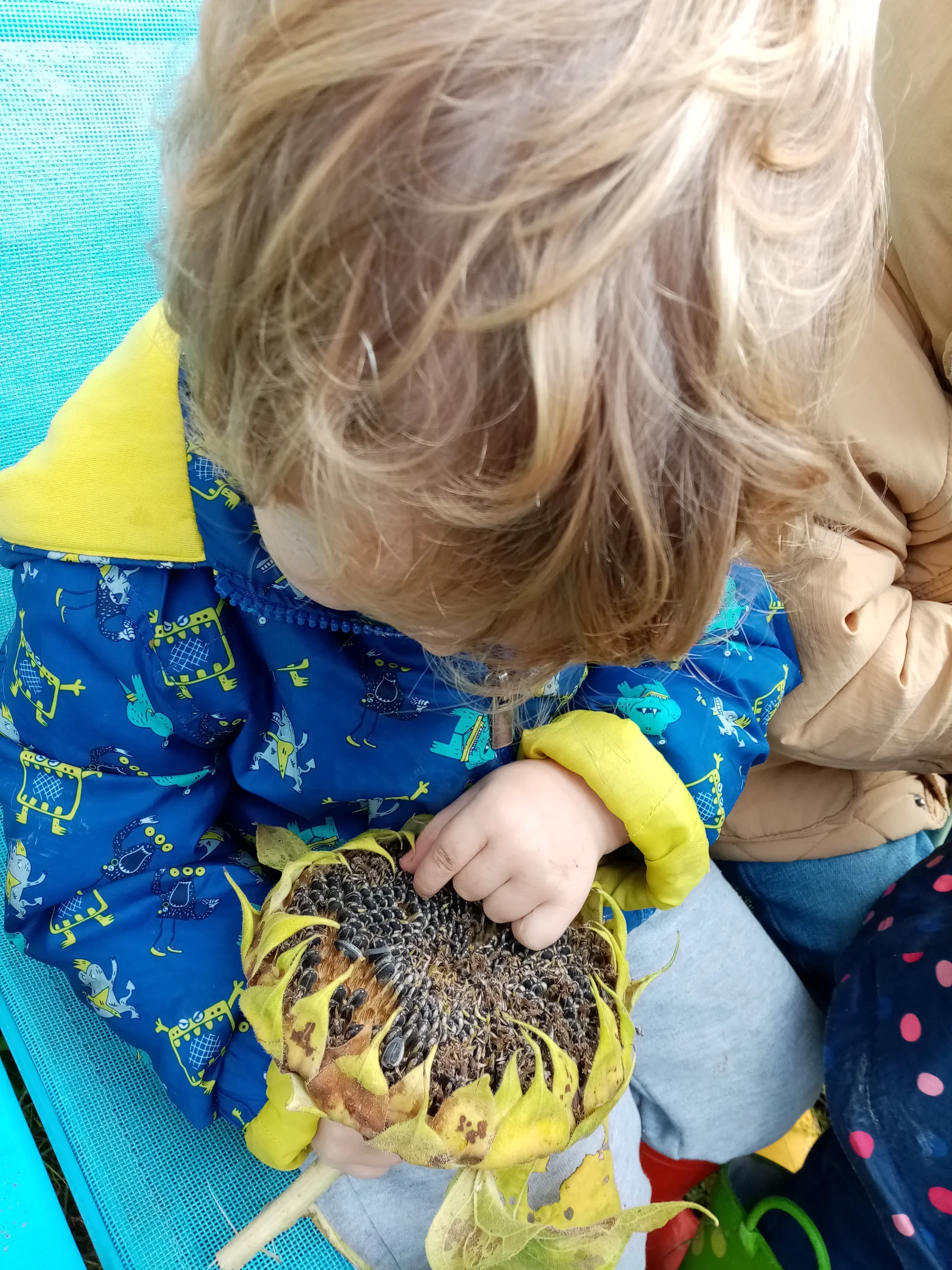 enfants à la micro-crèche Cocotte et Capuche proche de Tours, à La Riche